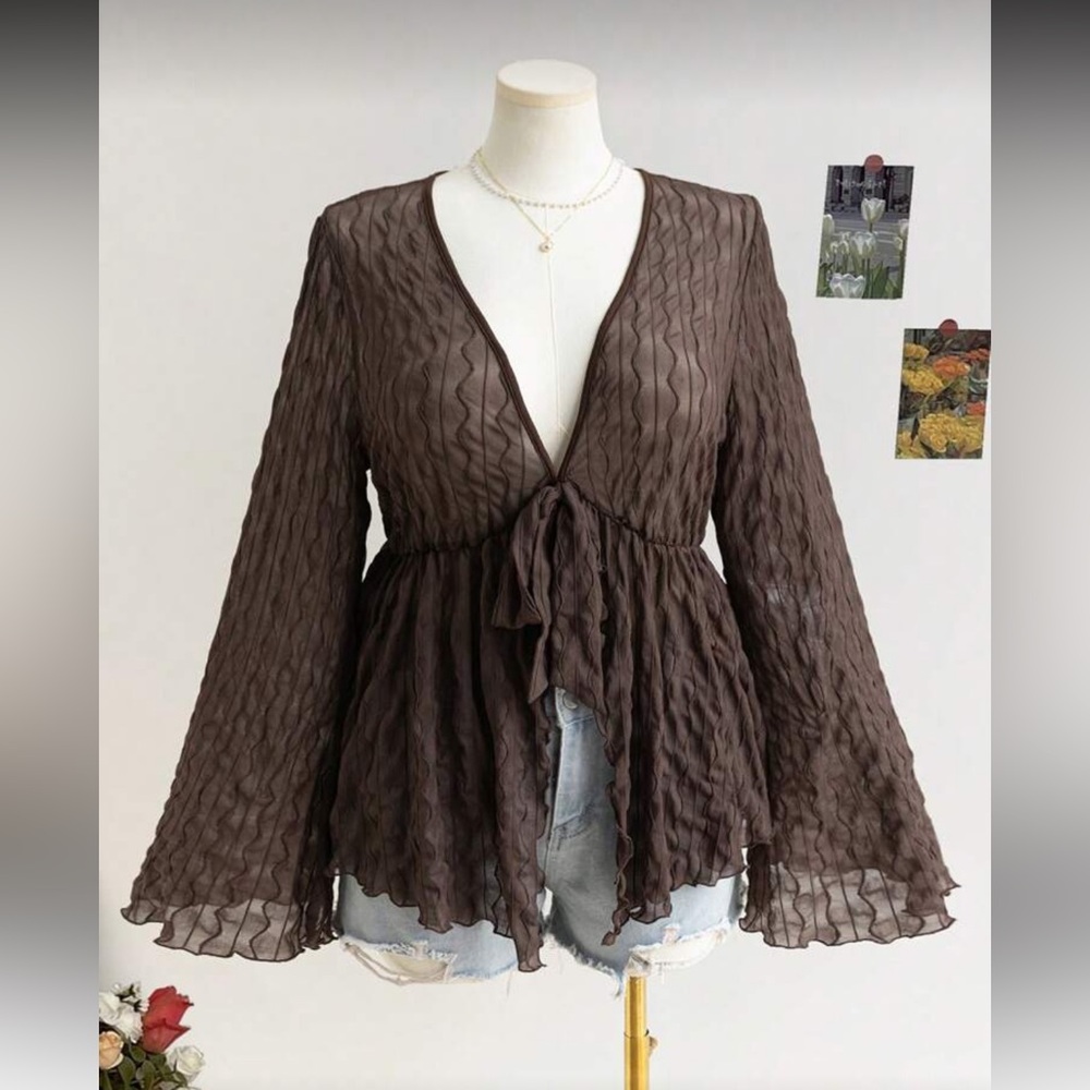 Elegant Brown Sheer Women's Top - Picture 1 of 3